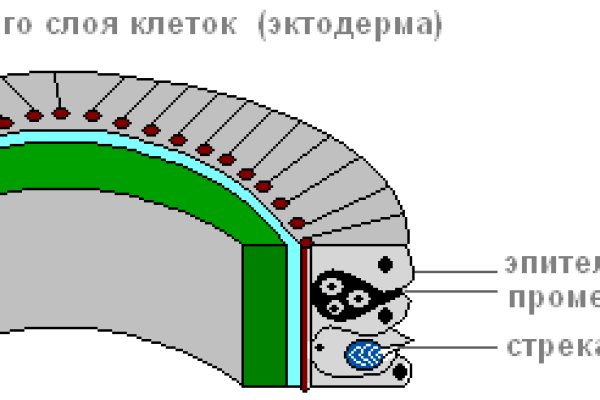 Как сделать заказ на кракен