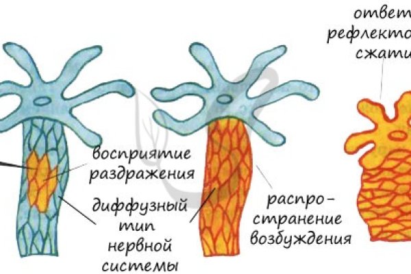 Кракен kr2web in сайт официальный