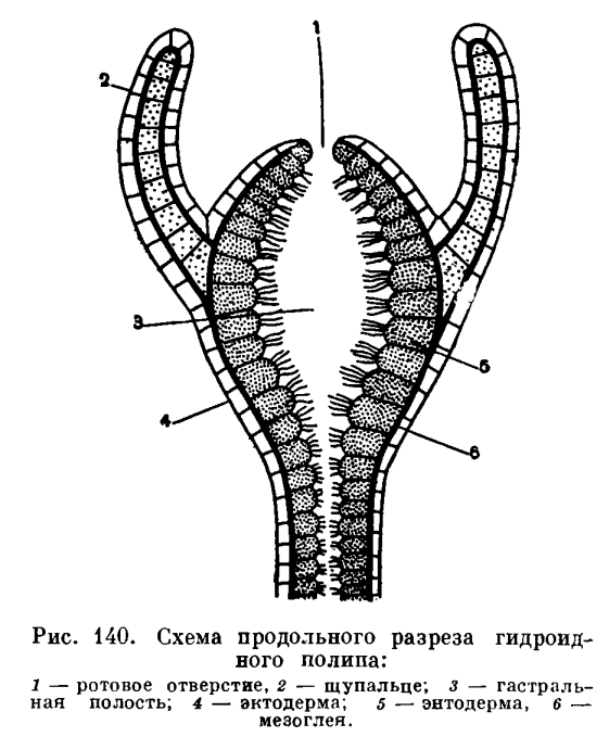 Кракен сайт как зайти