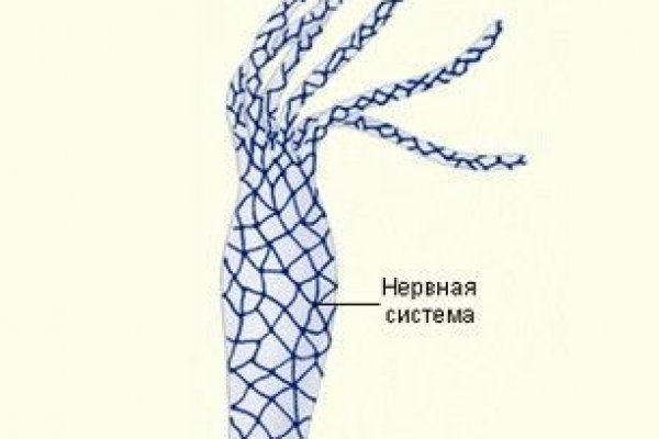 Нарко магазин кракен